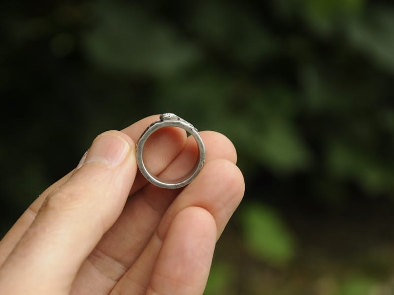 eel silver ring
